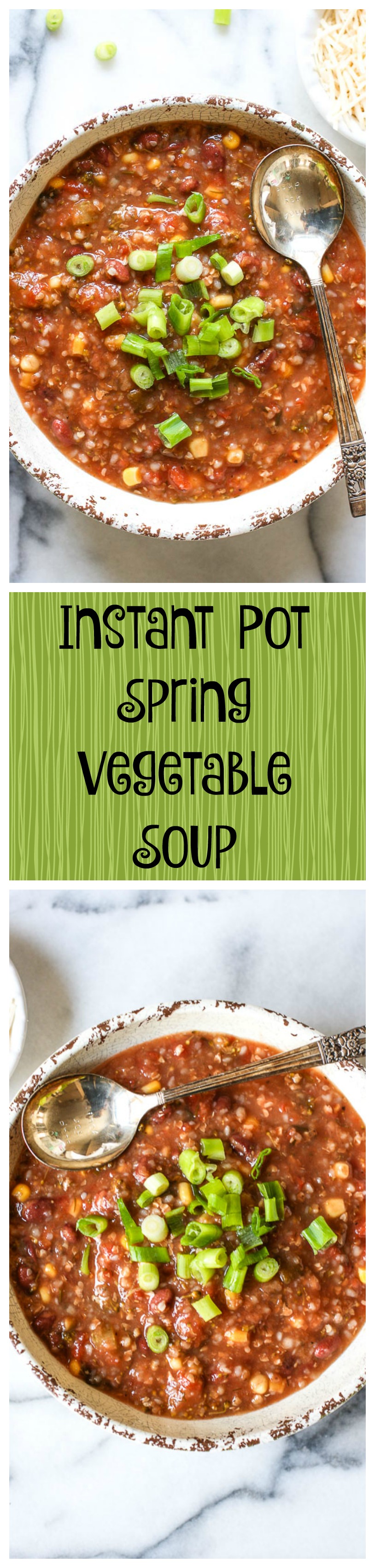 instant pot spring vegetable soup collage