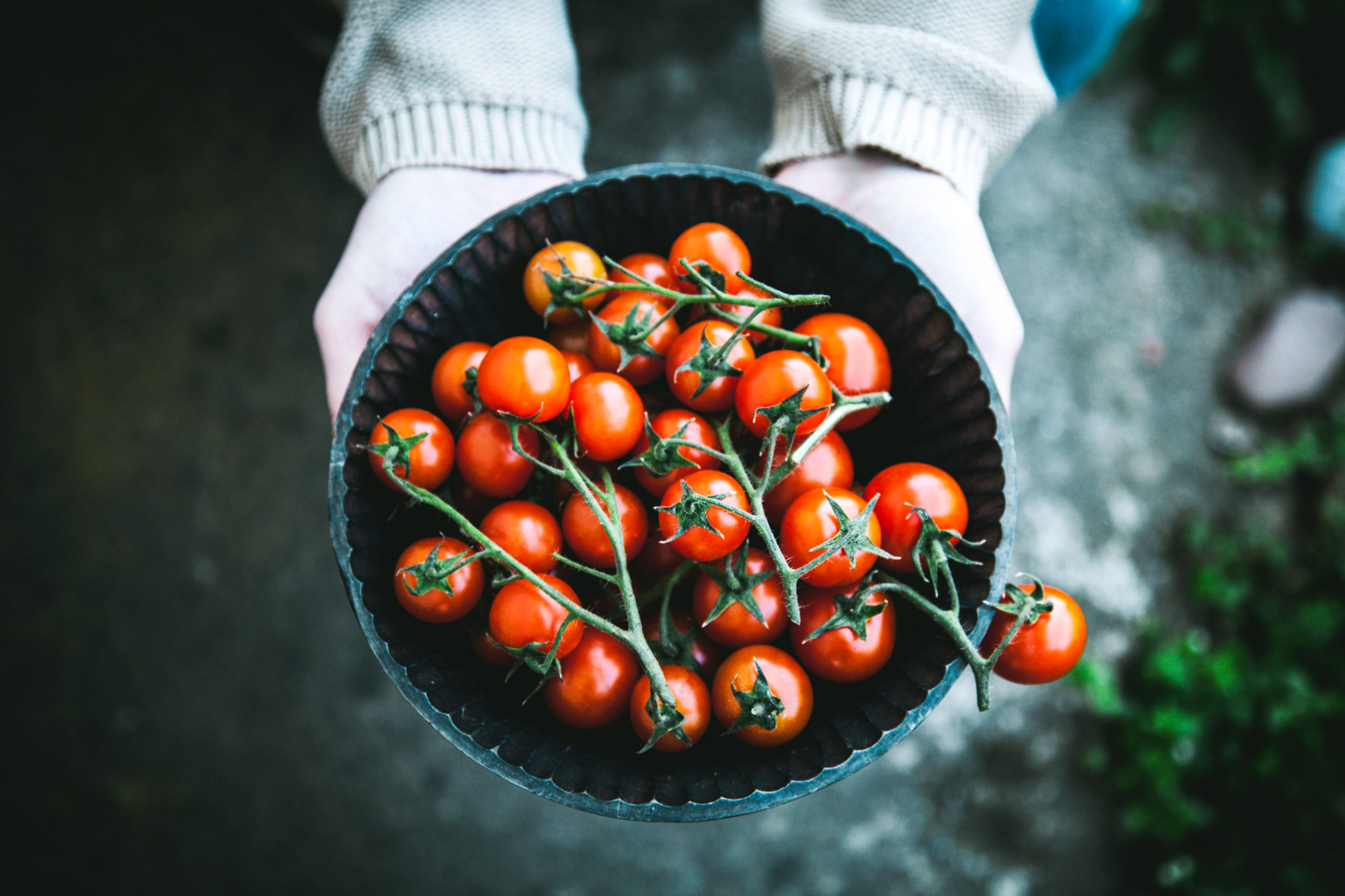7 reasons why you should be eating more tomatoes