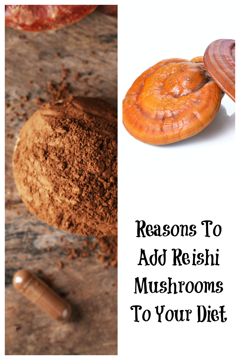 reasons to add reishi to your diet